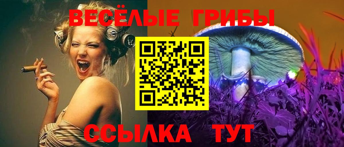 Псилоцибиновые грибы Psilocybe  Вход с VPN  Богородск 